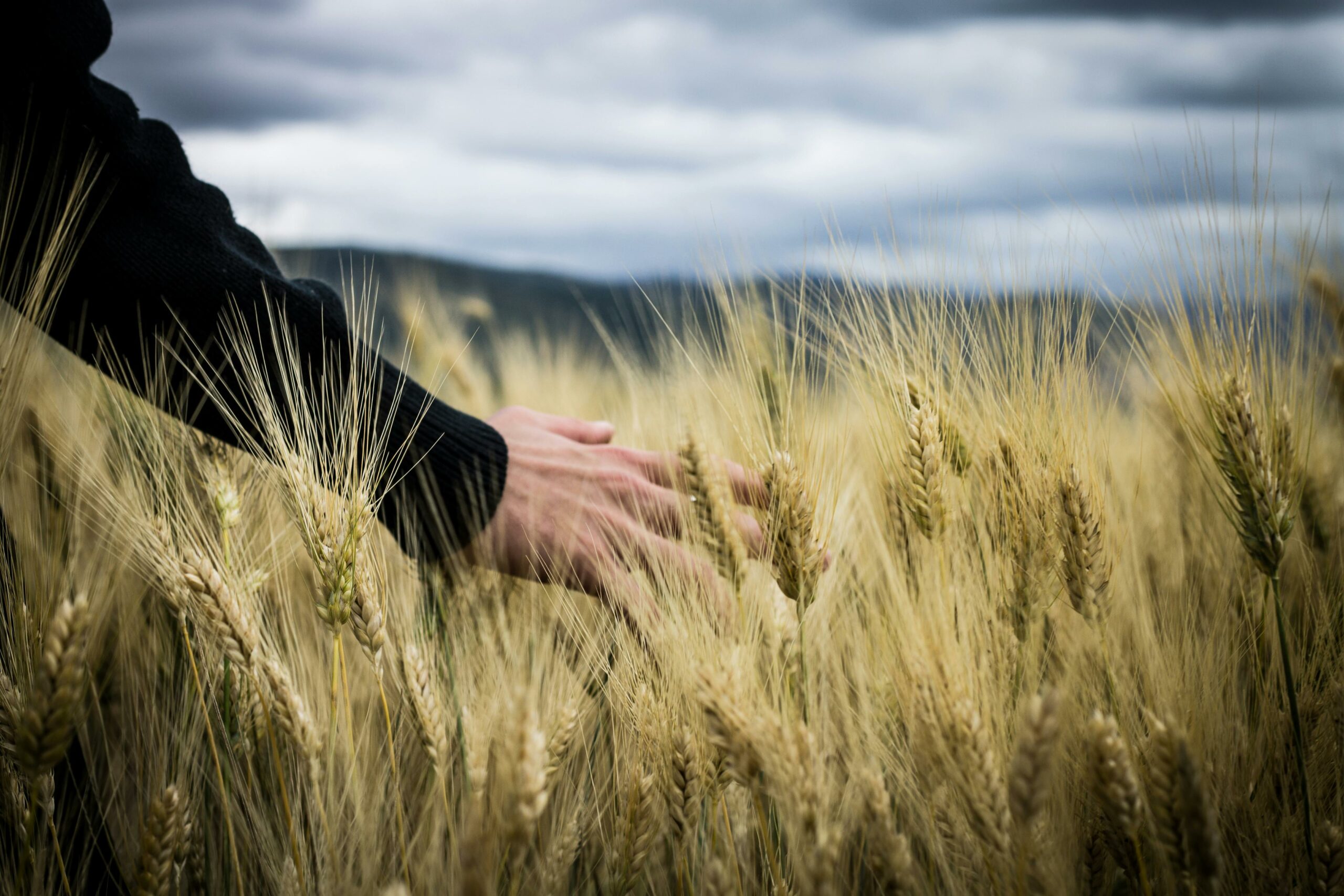 Agricole